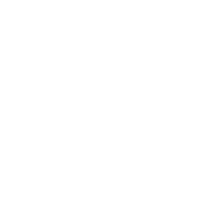 Logo Pepijn Visuals